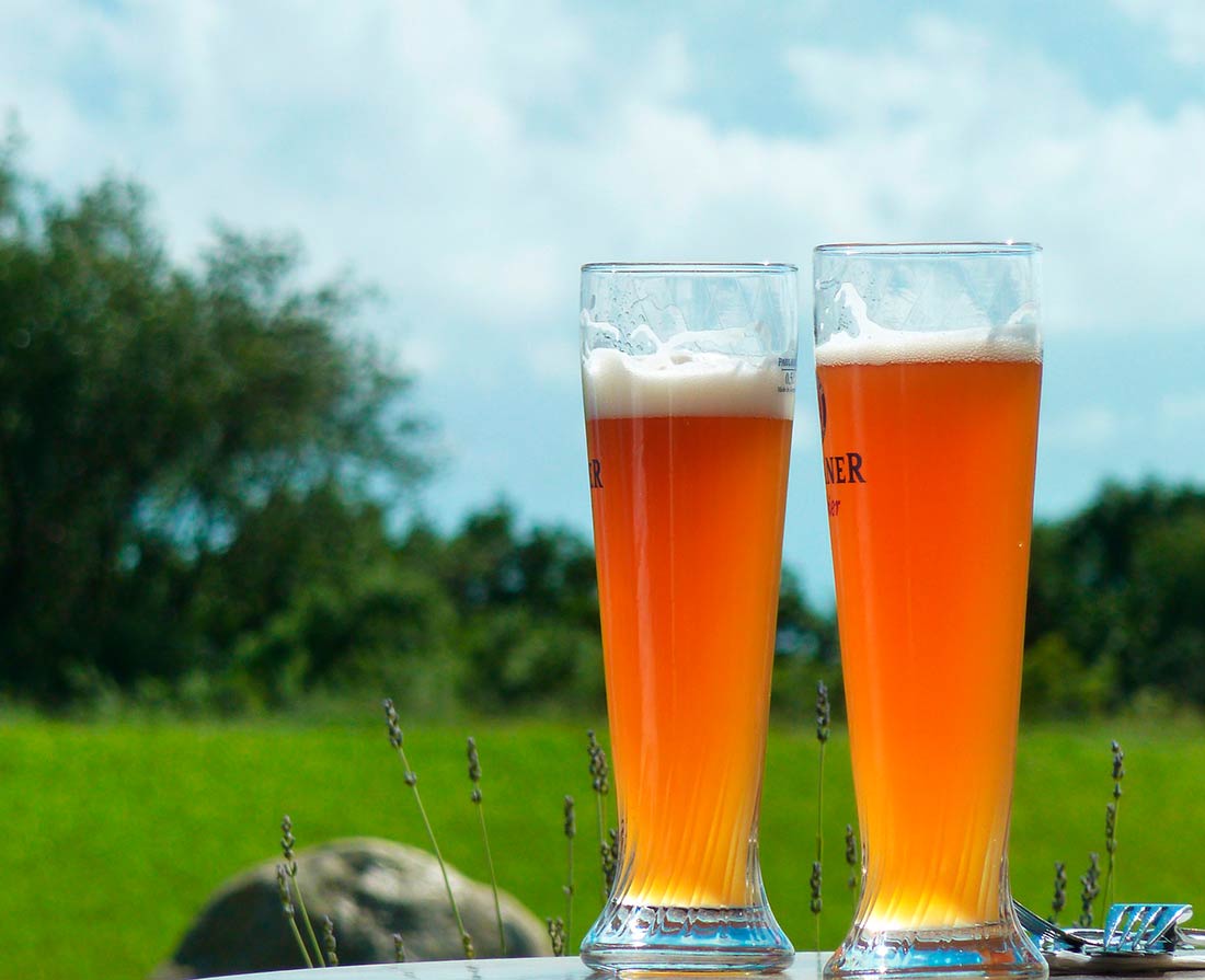 duas taças weizen cheias de cerveja, em um campo